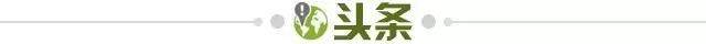 LCK LPL LOL ESports-【早报】非洲杯“发功”了,利物浦前场消费降级!